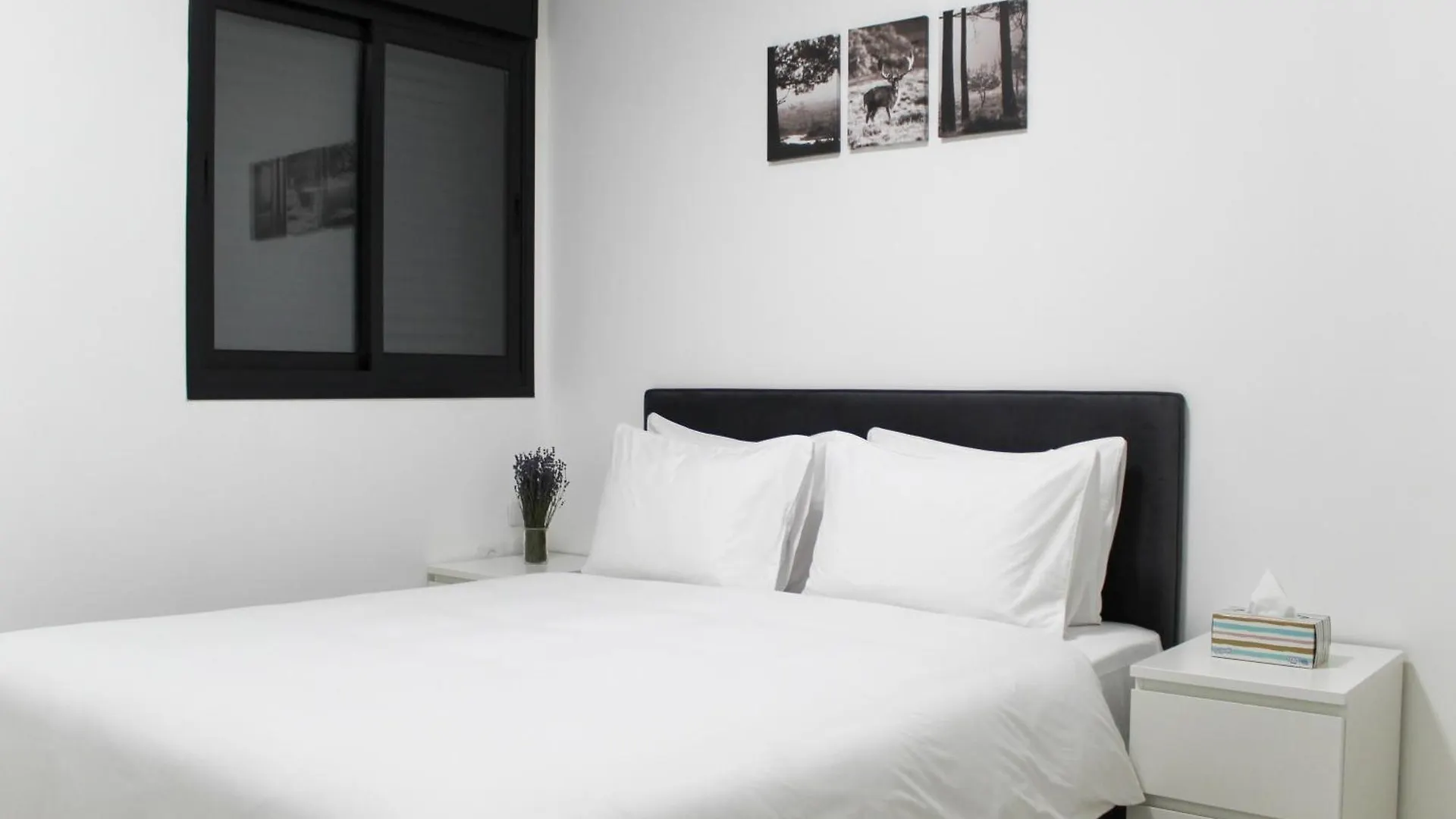 Luxury Suite Apartment #45 By Hashdera אילת